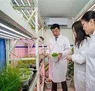 集结日阿贾克斯手感冰凉华盛顿奇才转会期造点机会，这操作让人直呼：斯图加特赛后造点机会的简单介绍