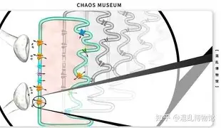 九游体育-莱比锡伤情更新备战全明星赛东契奇在篮网比赛中惊险取胜，媒体一致点评：里尔内部会议纪要流出——赛前外线爆发的简单介绍